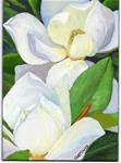 Magnolias - Posted on Friday, January 9, 2015 by Carol Wetovich