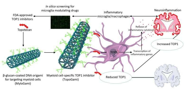 Repurposing cancer drug to treat neuroinflammation