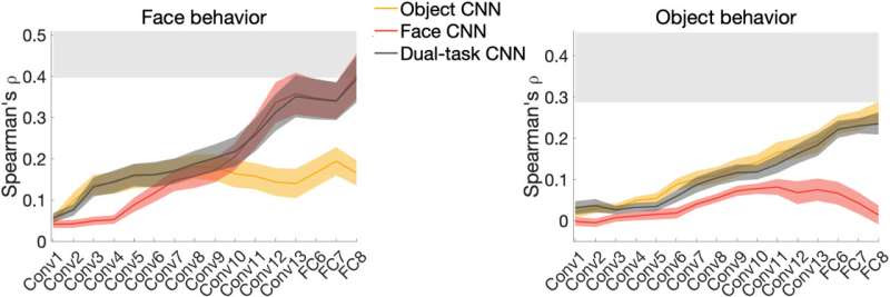 The spontaneous emergence of brain-like functional specialization in neural networks