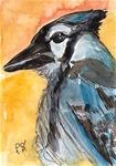 ACEO Blue Jay Bird Art Illustration Painting Original Watercolor by Penny StewArt - Posted on Sunday, March 22, 2015 by Penny Lee StewArt