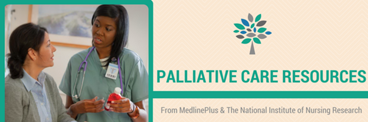 Palliative Care 