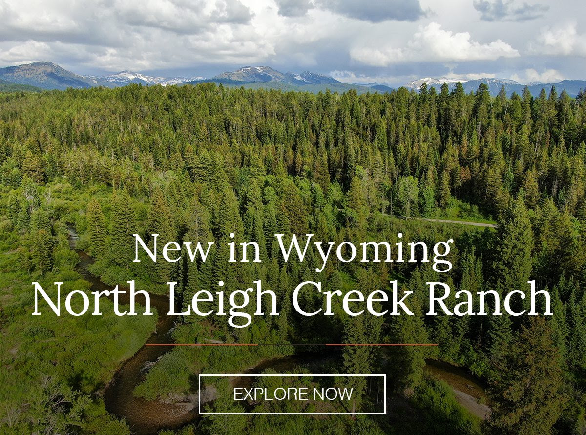 North Leigh Creek Ranch