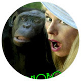 The-Bonobo-Way-Book-Cover-cicle