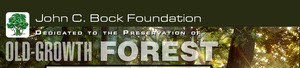john c bock foundation logo 2