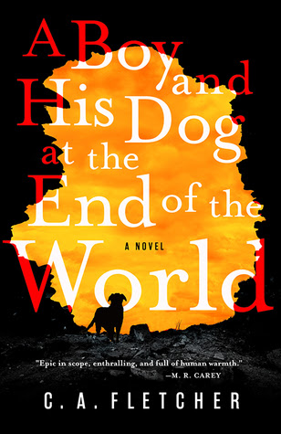 A Boy and His Dog at the End of the World PDF