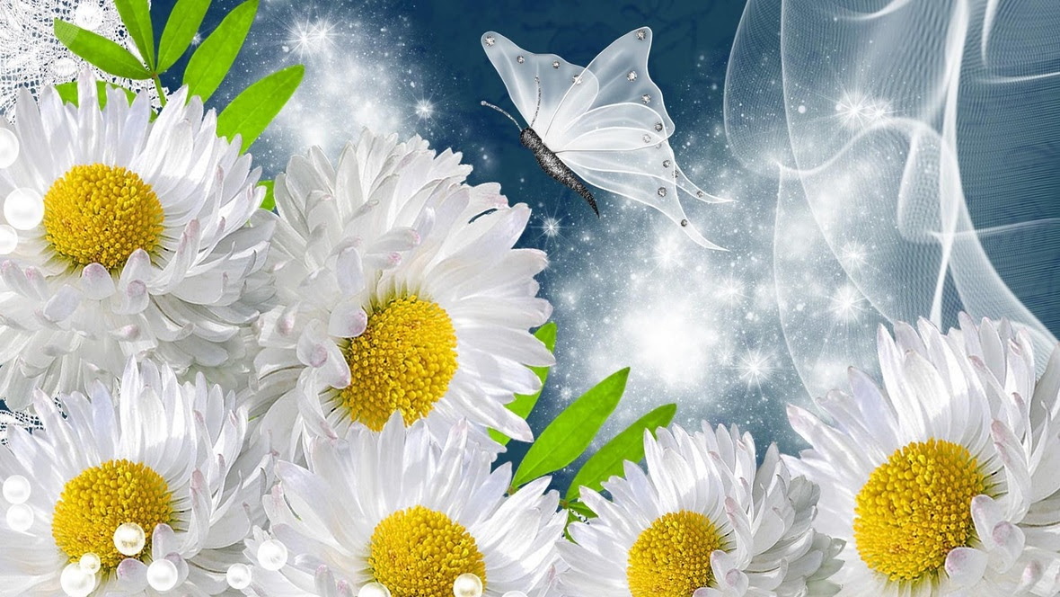 Beautiful-sunflower-butterfly