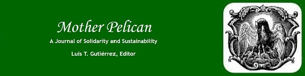  Mother Pelican ~ August 2023