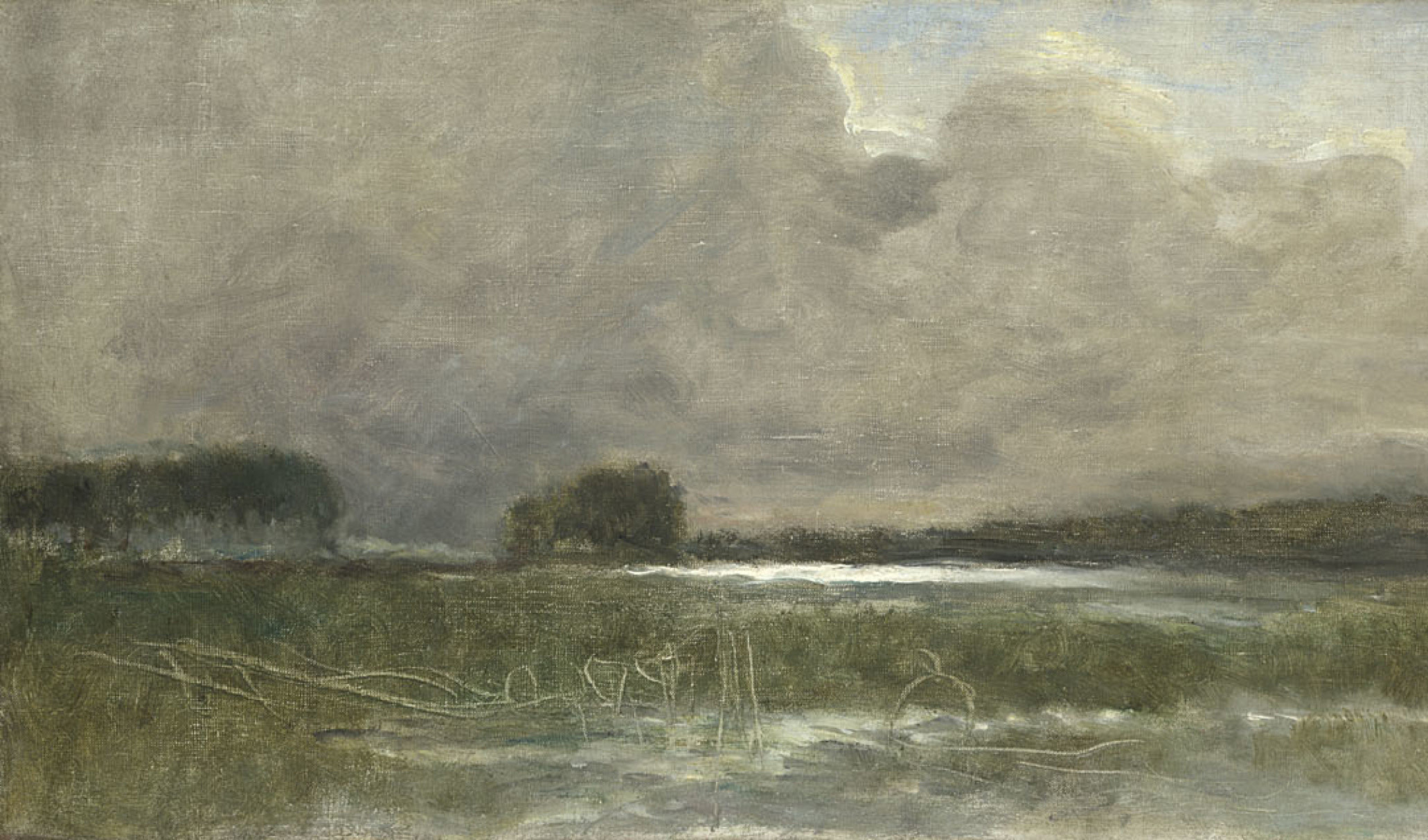 Detail from Jean-Baptiste-Camille Corot, 'The Marsh at Arleux', 1871 © The National Gallery, London