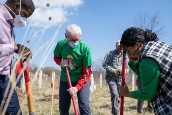 Gov. Tony Evers planting a tree at Havenwoods State Forest in Milwaukee on Earth Day.