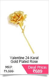 Valentine 24-Karat Gold Plated Rose