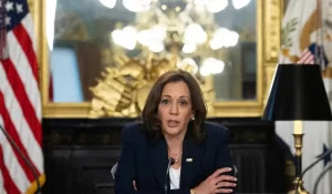 The So-Called ‘Inflation Reduction Act’ Passed on Kamala’s Vote…Good Luck If You Run In 2024!