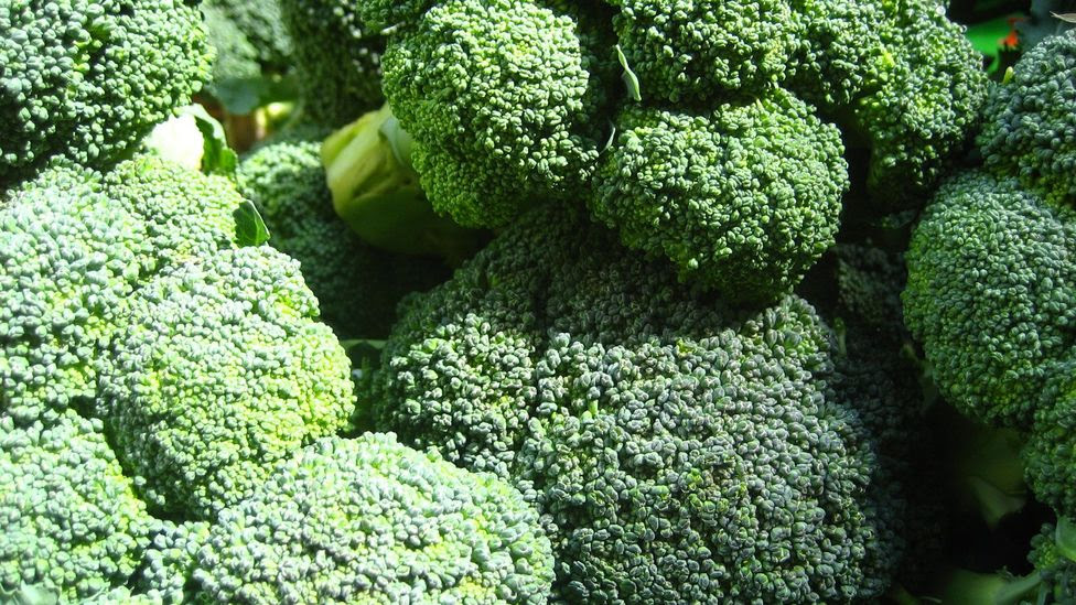 If you don't like broccoli, you can't necessarily train your brain to find it delicious (Credit: Jeremy Keith/Flickr/CC_BY_2.0)