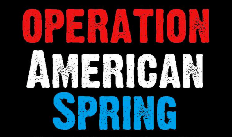 Operation American Spring: Will the Trump Movement Outflank the Purple Revolutionaries? 