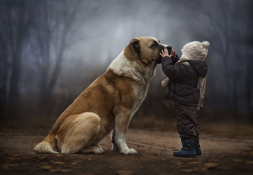 animals-children-photography-elena-Shumilova-1