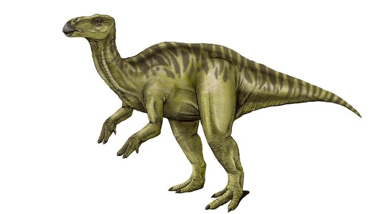 Una nueva especie de dinosaurio ornitópodo del Cretácico Superior fue hallada en Neuquén (paleoymás)
