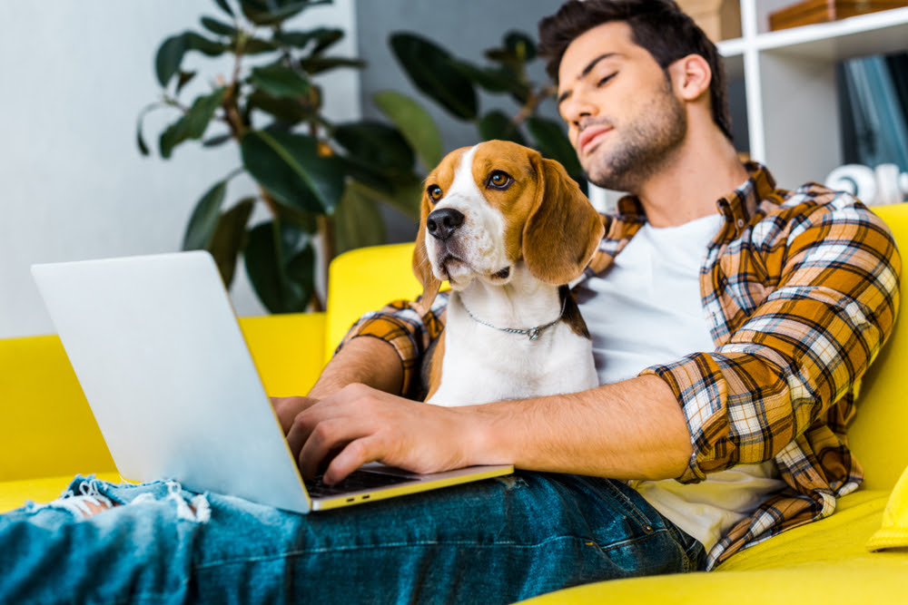 man working from home on his cough with his laptop and his dog