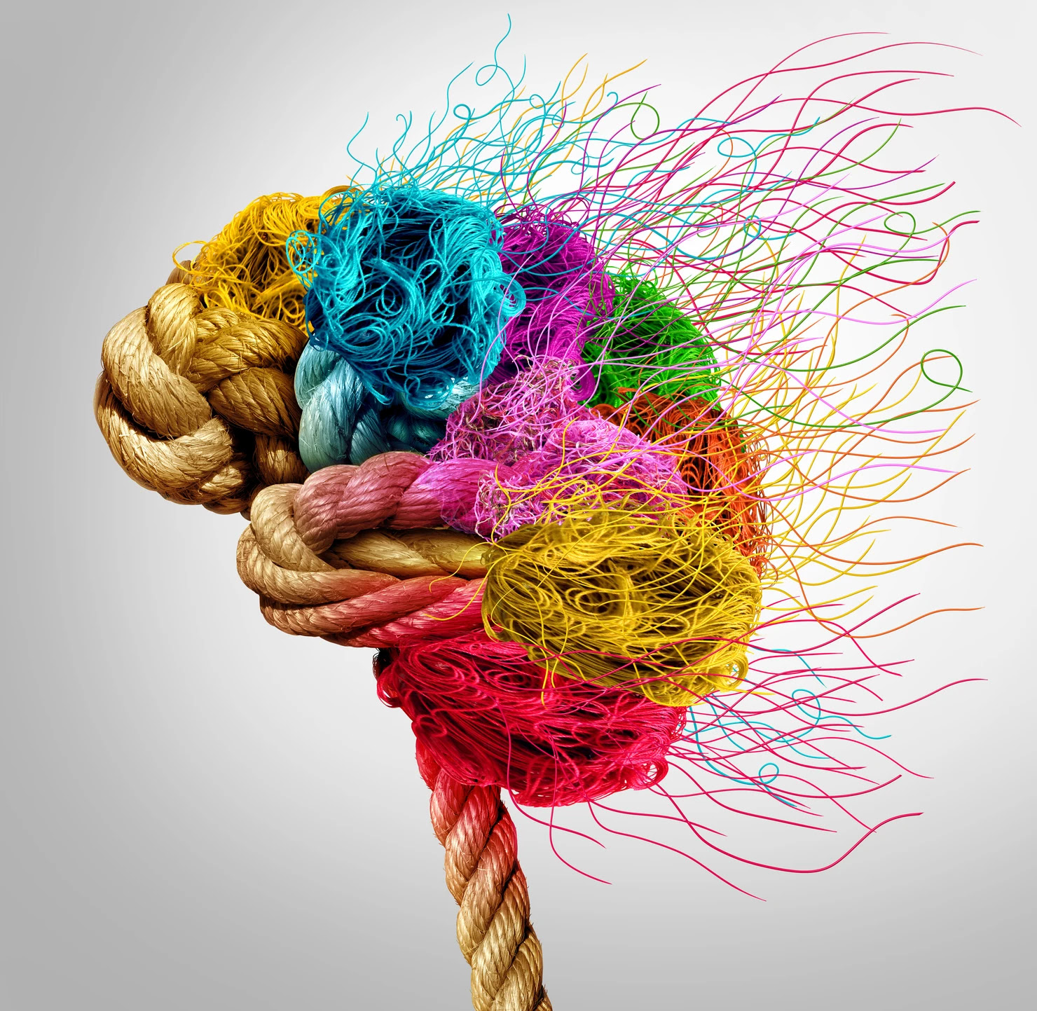 A colorful illustration of a brain