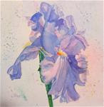 My Wild Iris Rouge,  Painting by Linda McCoy - Posted on Sunday, April 5, 2015 by Linda McCoy