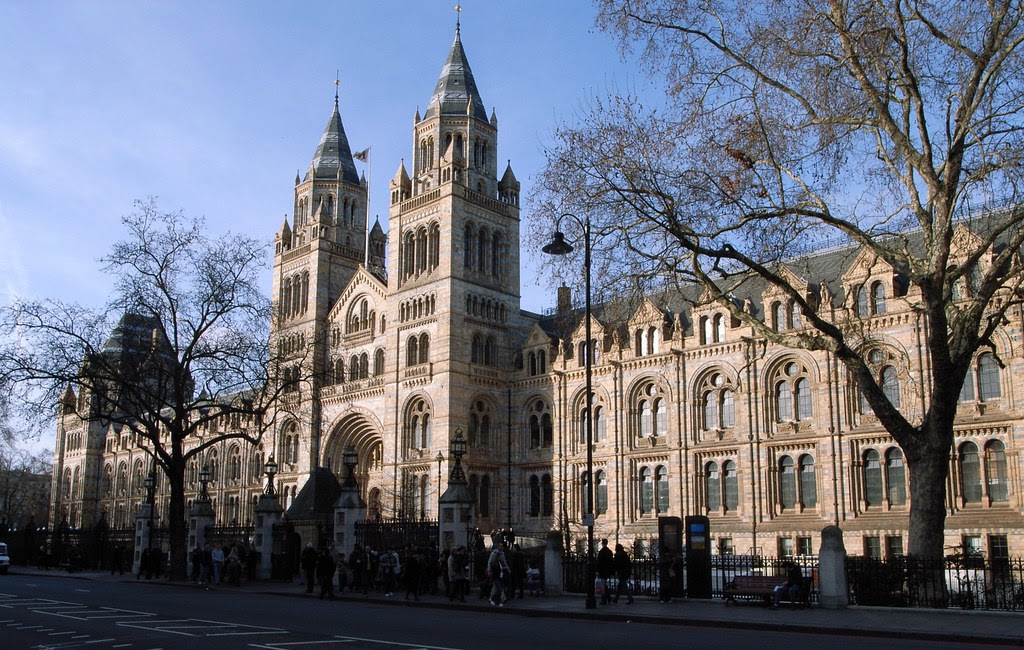 The Natural History Museum Natural History Museum (187381… Flickr