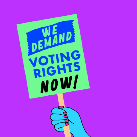 we demand voting rights now GIF