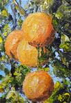 Oranges Hanging Out - Posted on Saturday, January 31, 2015 by Gloria Ester