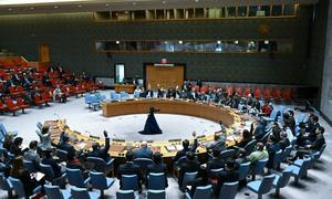 Заседание Совета Безопасности ООН. 