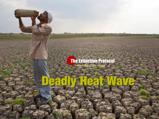 Farmer suicides soar in India, as deadly heat-wave hits 51 degrees Celsius India-heatwave