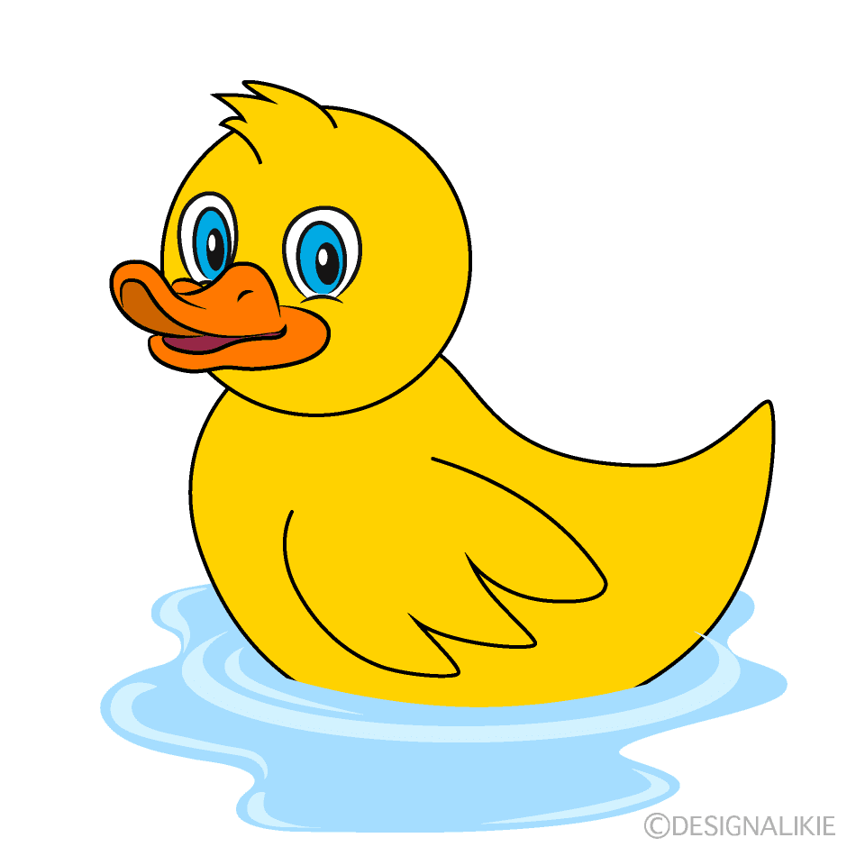 Floating Duck Clip Art Free PNG Image｜Illustoon