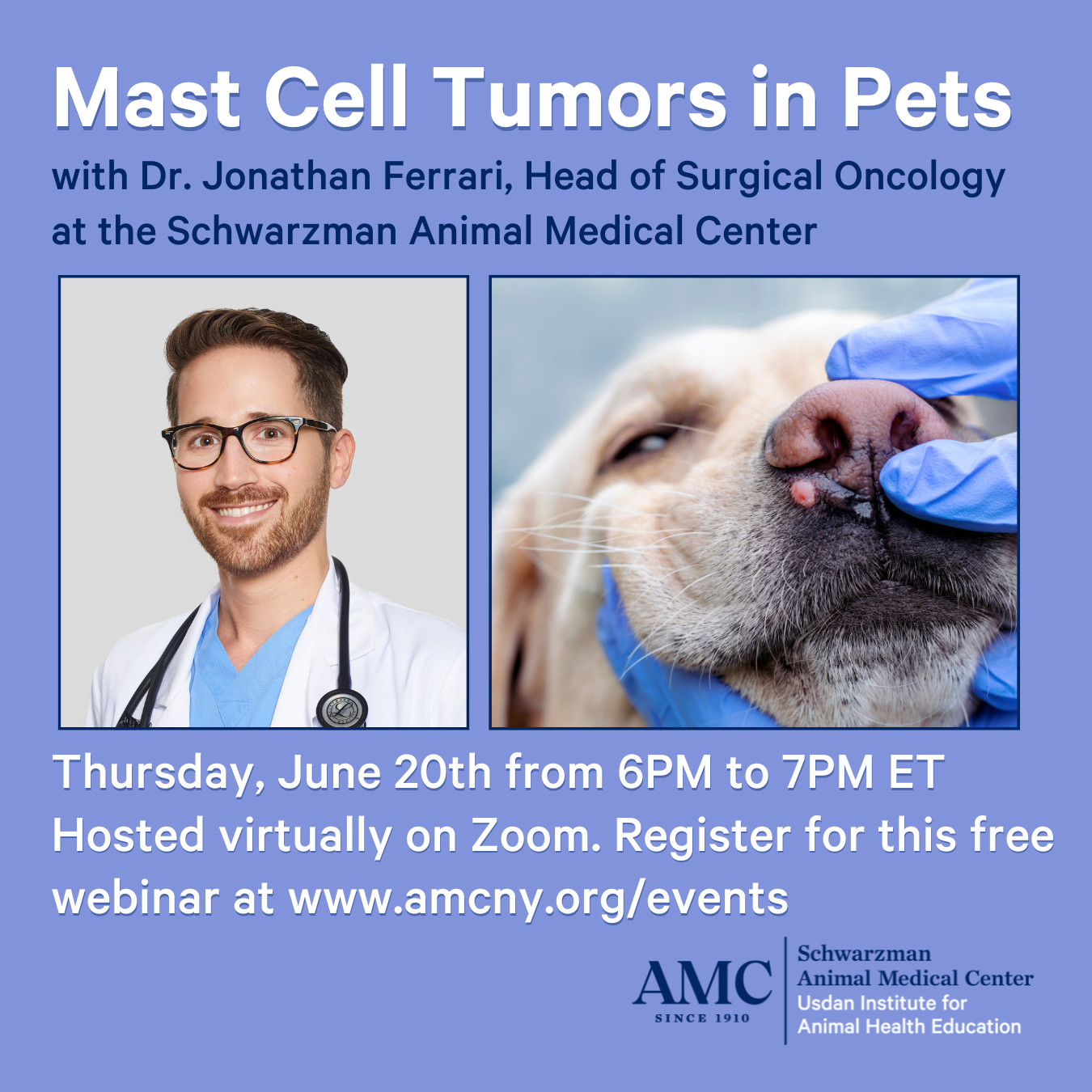 Mast Cell Tumors in Pets graphic with headshot of Dr. Jonathan Ferrari and photo of dog with a mast cell tumor below its nose.