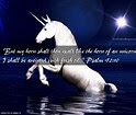 Image result for unicorn bible