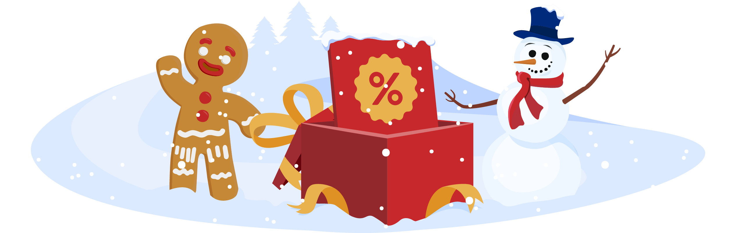 Namecheap Holiday Sale