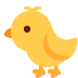 Baby chick