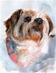 Yorkshire Terrier Dog Pet Portrait Watercolor Painting 8.5 x 11 Penny StewArt - Posted on Sunday, January 11, 2015 by Penny Lee StewArt