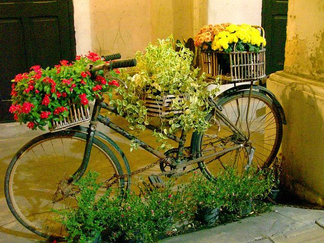 Reuse the old bicycle for FLowers