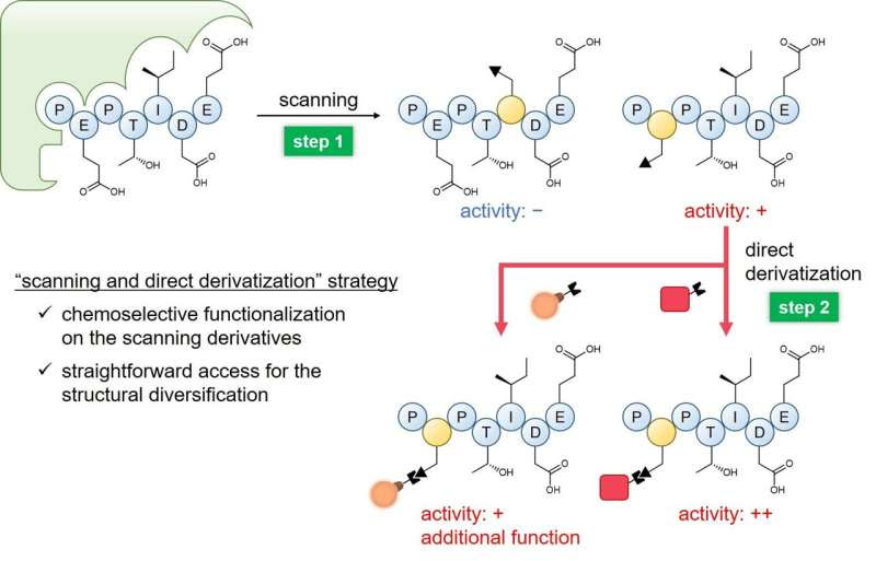 Novel method to design new peptide therapeutics pioneered