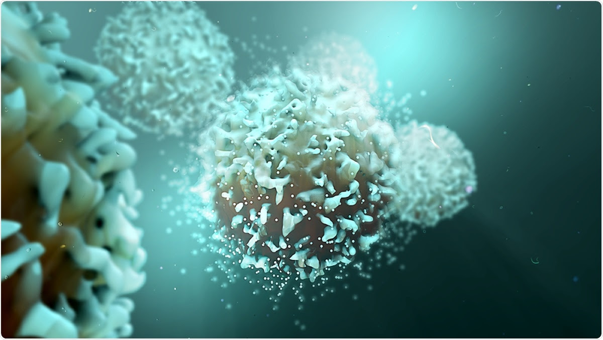 Comprehensive mapping reveals that functional CD4+ and CD8+ T cells targeting multiple regions of SARS-CoV-2 are maintained in the resolution phase of both mild and severe COVID-19, and their magnitude correlates with the antibody response.