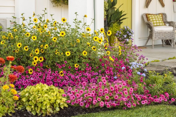 Colorful garden bed and porch