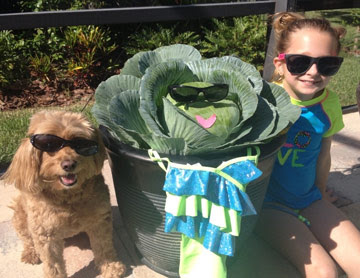 young girl by the pool with her dog and giant cabbage