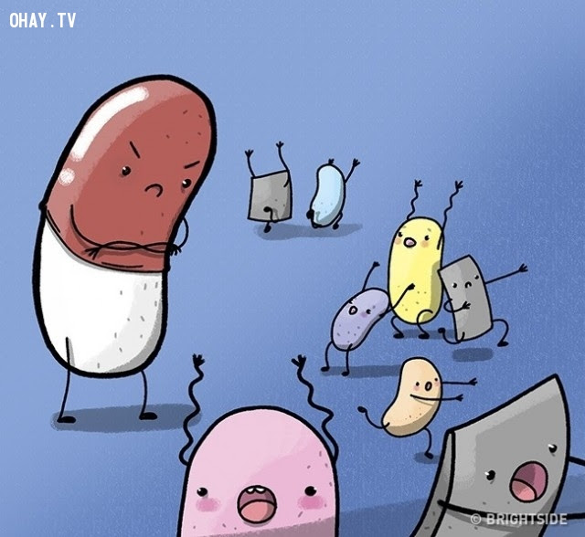 Lầm tưởng #9: Thuốc kháng sinh diệt vi-rút,nhận thức sai lầm,cơ thể con người,lầm tưởng
