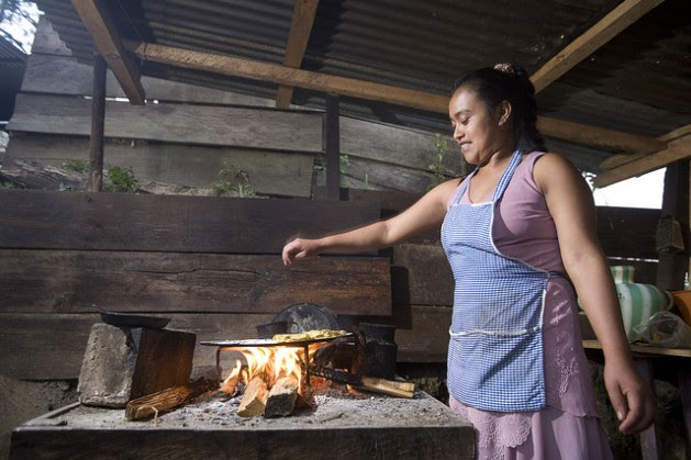 Biomass is the basic source of fuel for many in the southern Mexican state of Chiapas. Credit: Mauricio Ramos/IPS