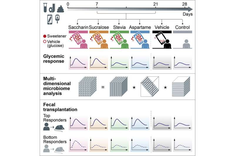 Non-nutritive sweeteners affect human microbiomes and can alter glycemic responses