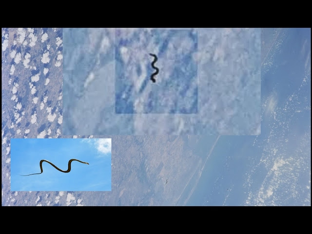 Strange Snake like Creature Above the Earth  Sddefault