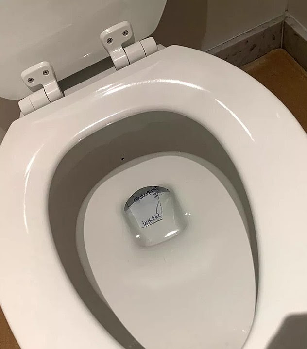 Maggie Haberman, a New York Times White House correspondent who closely followed Trump during his presidency for an upcoming book, claimed to have obtained pictures of handwritten notes stuffed into the bowls. She says this image is from a White House toilet