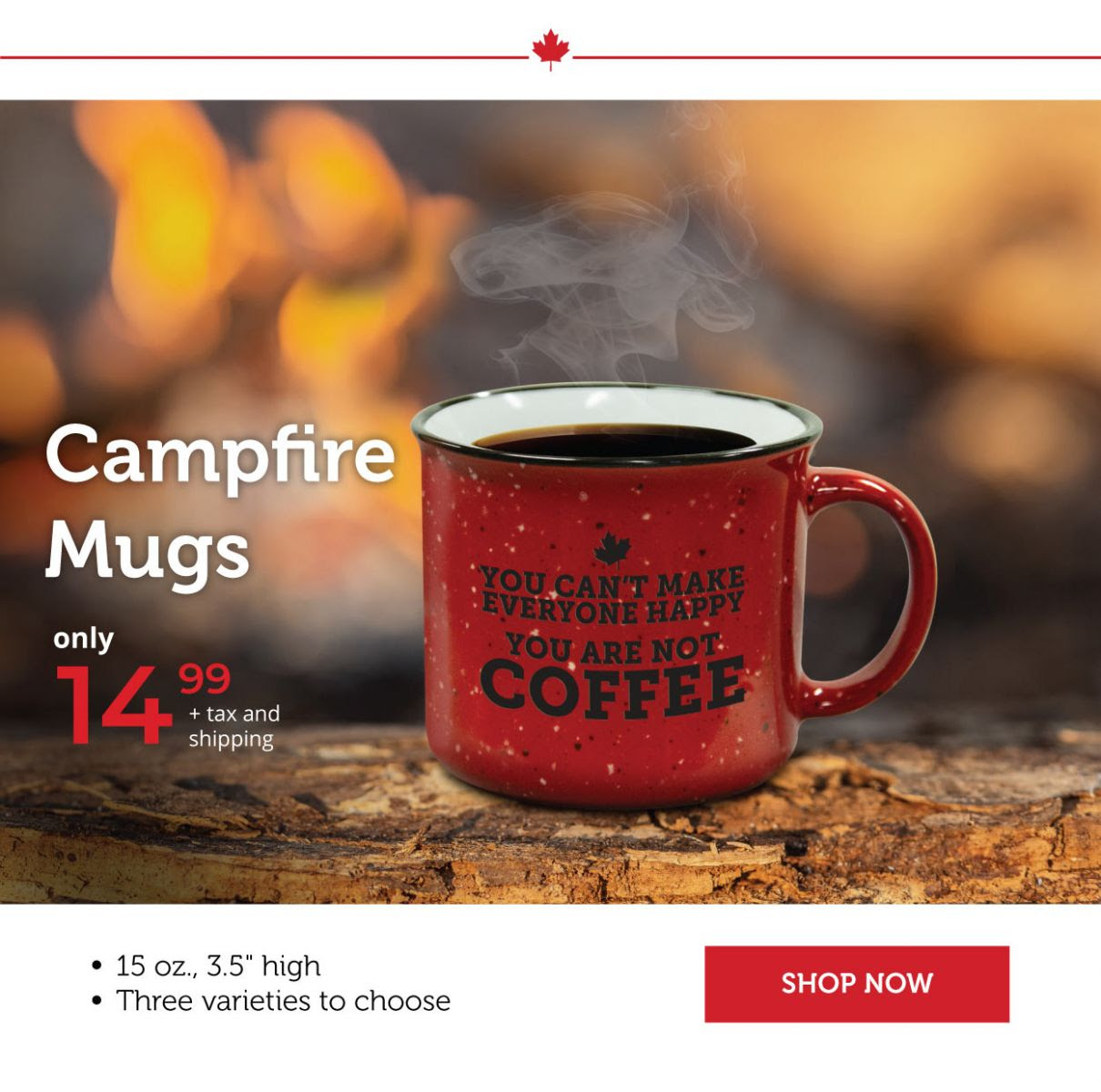 Campfire mugs!