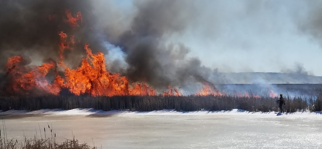 landscape photo of prescribed burn across grassy landscape