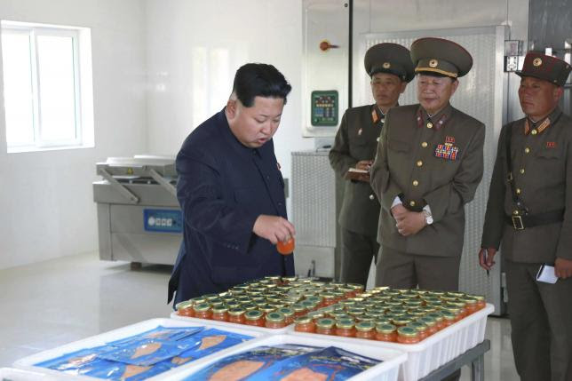 North Korean Visit