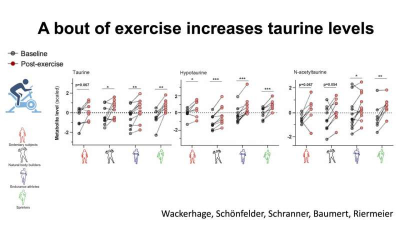 Taurine may be a key to longer and healthier life