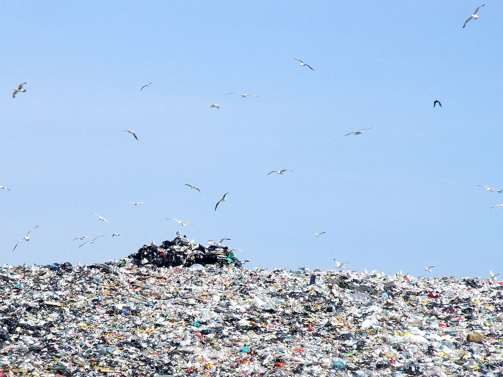 Cinco asignaturas
pendientes que la Ley de
Residuos debe superar en
septiembre si quiere provocar
un cambio real