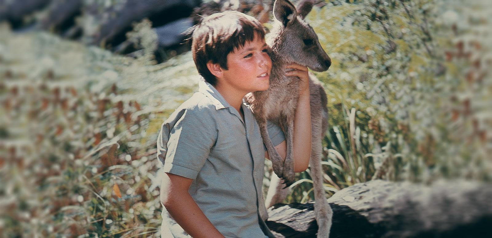 Sonny sits on a rock with Skippy the kangaroo's paws resting on his arm