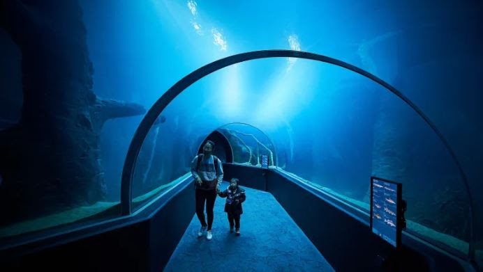 A couple of people walking through a tunnelDescription automatically generated with low confidence